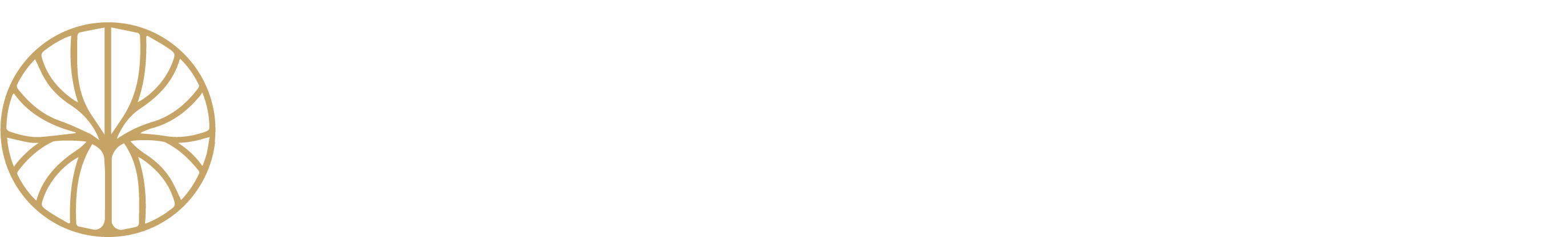 Logo Jaqueline Catto (7)